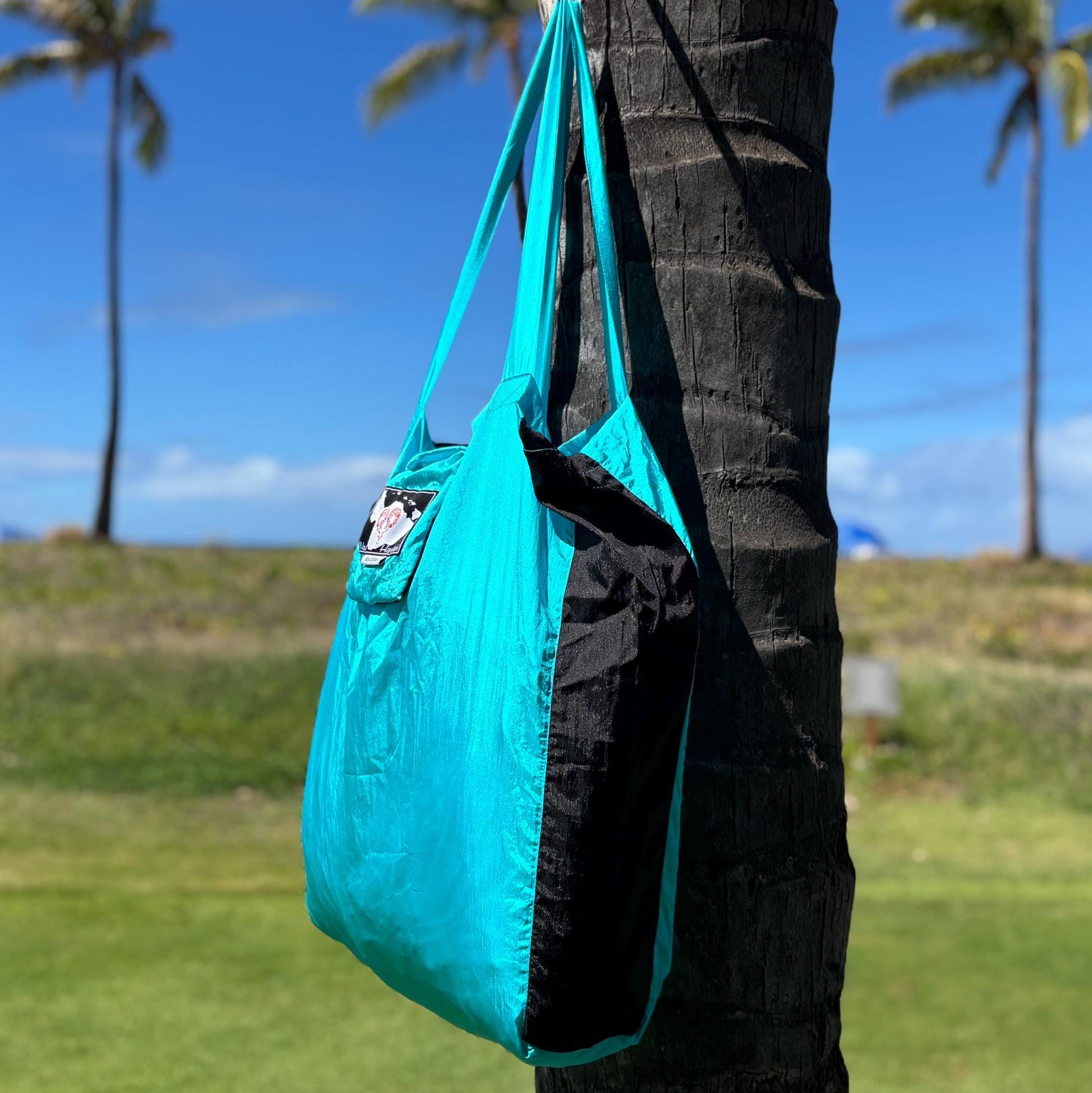 Aqua & Black Parachute Silk Beach Bag – Ultralight Compact Tote